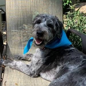 Meet your Posher, Normandy